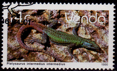 VENDA 1986, 1 April. ADDITIONAL VALUE DEFINITIVE ISSUE, single, CTO, CV R ?? view scans