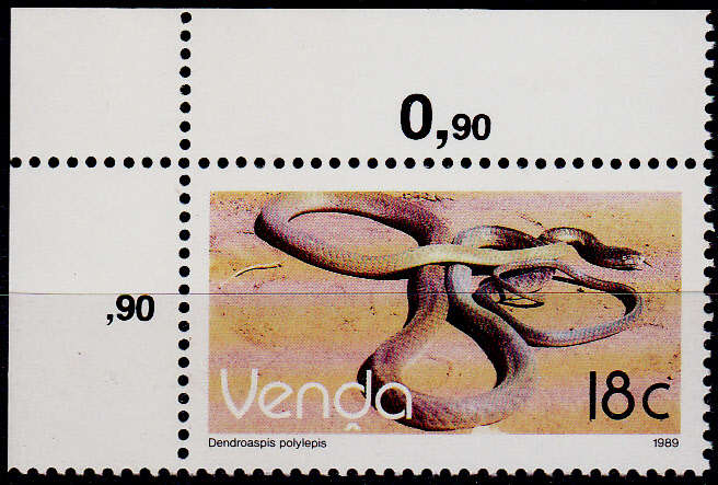 VENDA 1989, 3 July. ADDITIONAL VALUE DEFINITIVE ISSUE, single, MNH, CV R 1.00 view scans