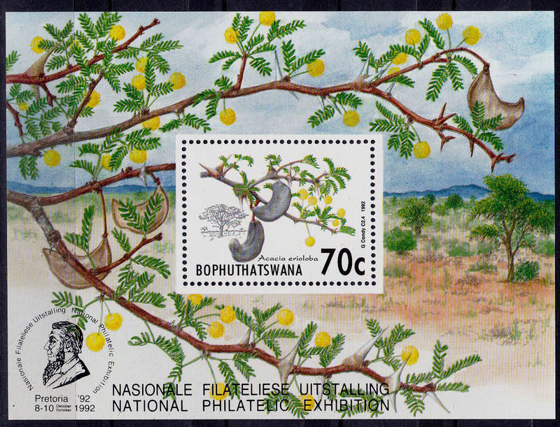 BOPHUTHATSWANA 1992, 18 June. ACACIA TREES, minisheet, MNH, CV R 20.00, view scans