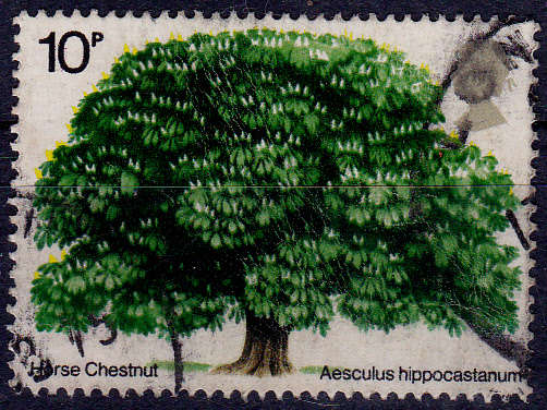 ENGLAND 1974, 27 Feb. HORSE CHESTNUT, single, UH, CV +/-R 10.00 view scans