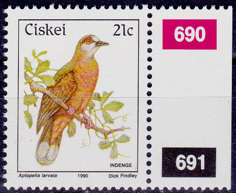 CISKEI 1990, 3 July. Birds - Cinnamon Dove, single, MNH, CV R 55.00, view scans