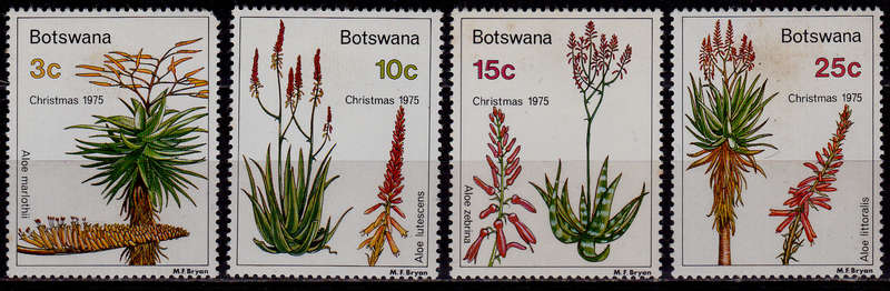 BOTSWANA 1975, 3 Nov. CHRISTMAS ALOES, set, MH, CV +/- R 75.00 view scans