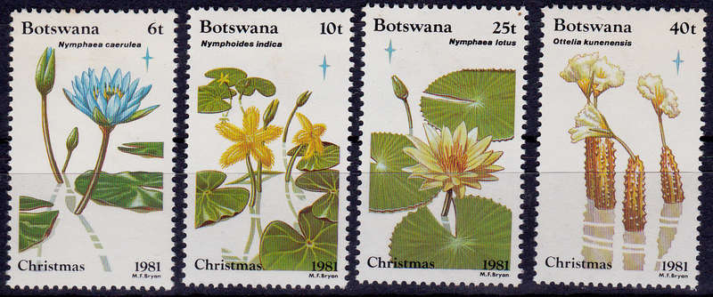 BOTSWANA 1981, 2 Nov. CHRISTMAS FLOWERS, set, MH, CV +/-R 35.00 view scans