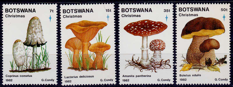 BOTSWANA 1982, 2 Nov. CHRISTMAS FUNGI, set, MNH, CV +/-R 270.00 view scans