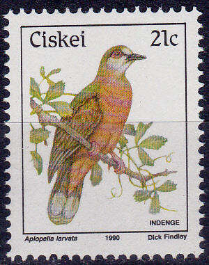 CISKEI 1990, 3 July. BIRDS CINNAMON DOVE, single, MNH, CV R 55.00, view scans