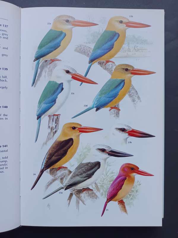 Kingfishers, Bee-eaters and Rollers / Fry, C. Hilary & Fry, Kathie