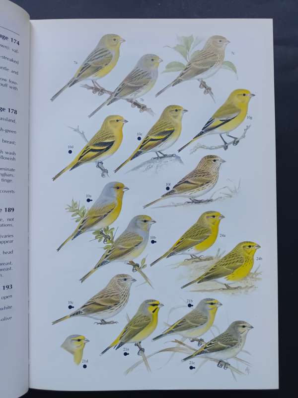 FINCHES & SPARROWS : An Identification Guide / Peter Clement, Alan Harris & John Davis