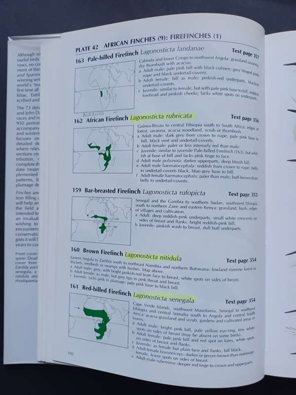 FINCHES & SPARROWS : An Identification Guide / Peter Clement, Alan Harris & John Davis