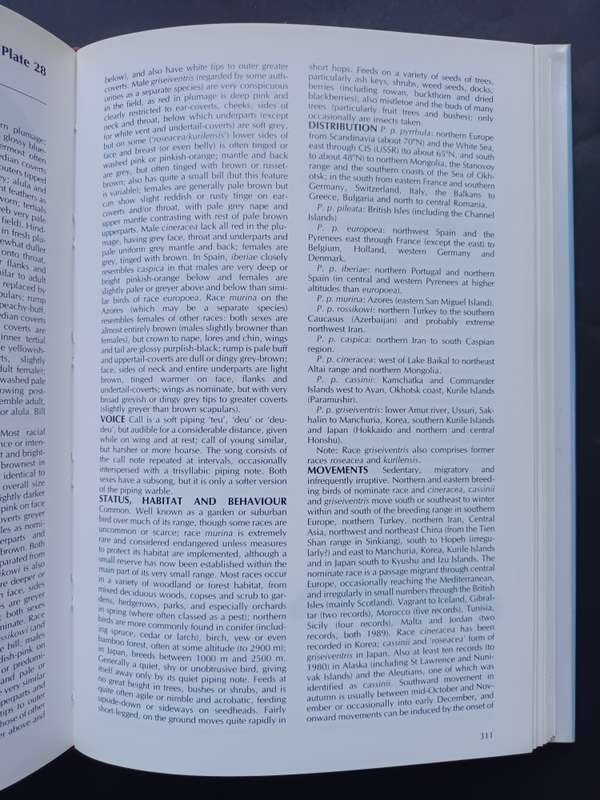 FINCHES & SPARROWS : An Identification Guide / Peter Clement, Alan Harris & John Davis