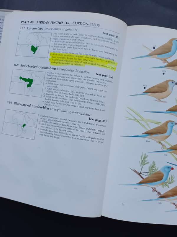 FINCHES & SPARROWS : An Identification Guide / Peter Clement, Alan Harris & John Davis