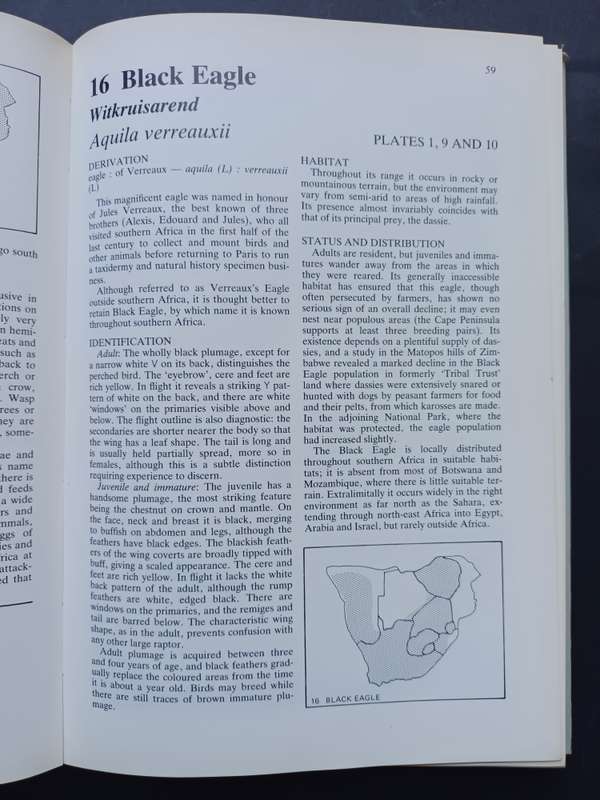 Birds of Prey of Southern African / Peter Steyn : Illustrated by Graham Arnott