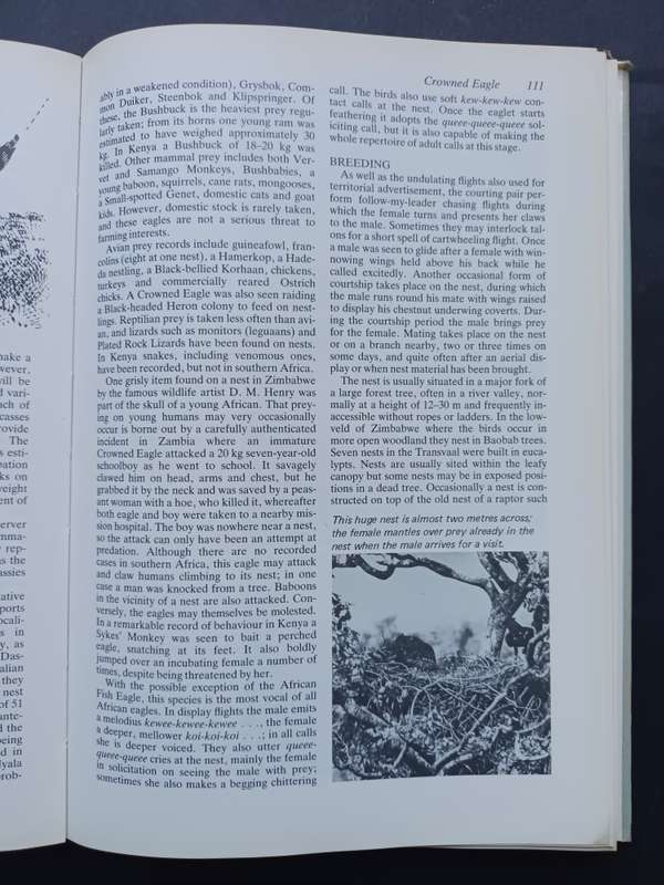 Birds of Prey of Southern African / Peter Steyn : Illustrated by Graham Arnott