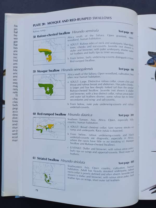 A Handbook to the Swallows and Martins of the World / Angela Turner & Chris Rose