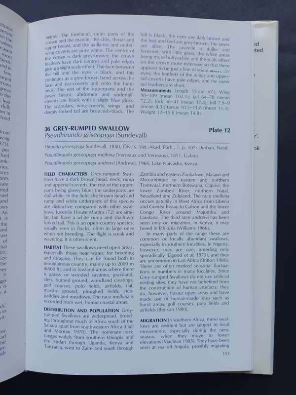 A Handbook to the Swallows and Martins of the World / Angela Turner & Chris Rose