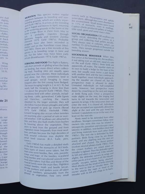 A Handbook to the Swallows and Martins of the World / Angela Turner & Chris Rose