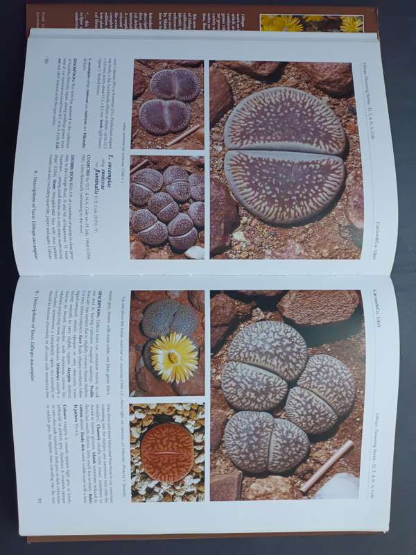 LITHOPS Flowering Stones / Desmond T. Cole & Naureen A. Cole