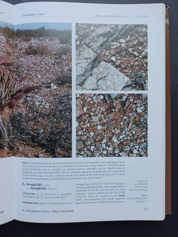 LITHOPS Flowering Stones / Desmond T. Cole & Naureen A. Cole