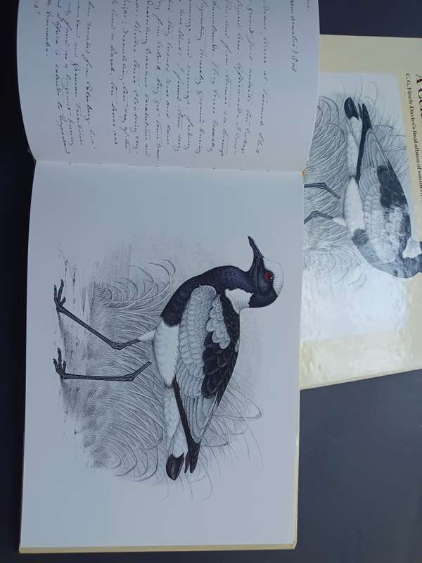A Celebration of Birds / C.G.Finch-Davies
