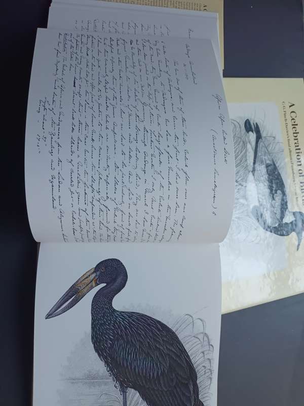 A Celebration of Birds / C.G.Finch-Davies
