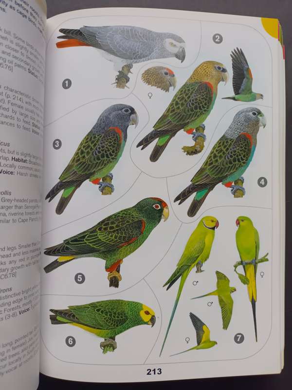 A Comprehensive Illustrated Field Guide Birds of of Africa South of the Sahara by Sinclair, I., Ryan