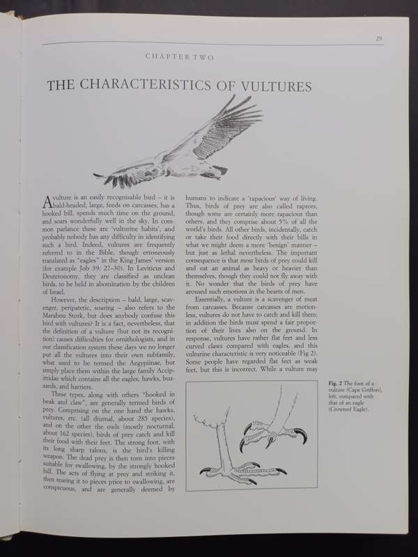 THE VULTURES OF AFRICA / Peter Mundy - Duncan Butchart - John Ledger - Steven Piper