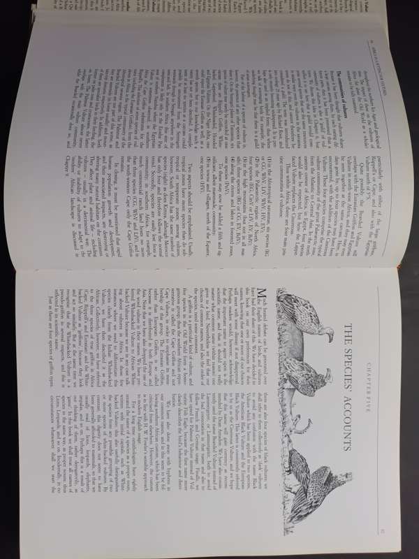 THE VULTURES OF AFRICA / Peter Mundy - Duncan Butchart - John Ledger - Steven Piper