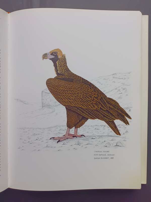 THE VULTURES OF AFRICA / Peter Mundy - Duncan Butchart - John Ledger - Steven Piper