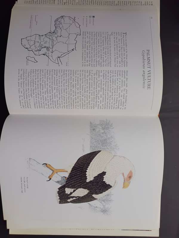 THE VULTURES OF AFRICA / Peter Mundy - Duncan Butchart - John Ledger - Steven Piper