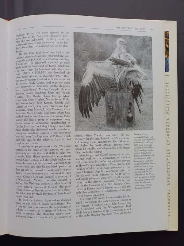 THE VULTURES OF AFRICA / Peter Mundy - Duncan Butchart - John Ledger - Steven Piper