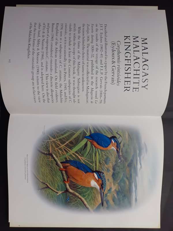 Kingfishers of Sub-Saharan Africa  /  Phillip A Clancey