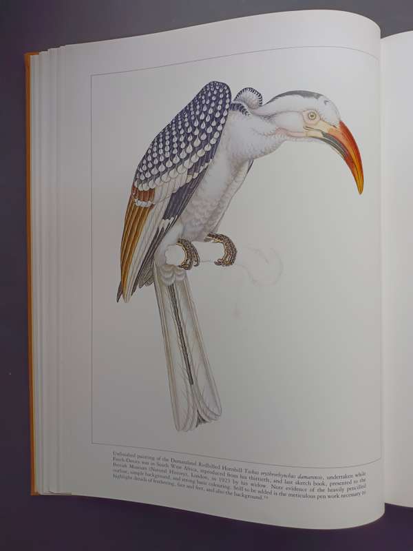 The Bird Paintings of C.G. Finch-Davies : Southern Africa's finest bird artist