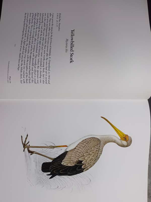 The Bird Paintings of C.G. Finch-Davies : Southern Africa's finest bird artist