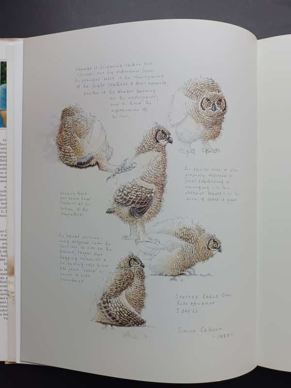 THE OWLS OF SOUTHERN AFRICA / ALAN KEMP & SIMON CALBURN