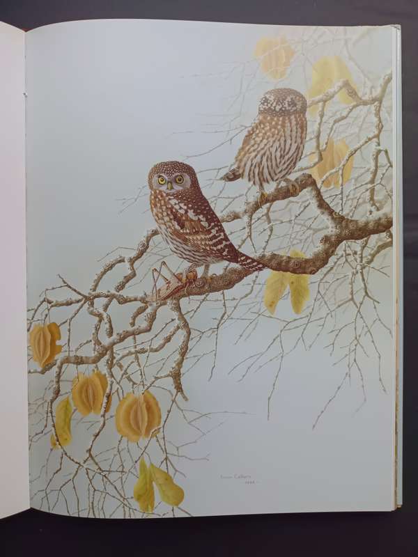 THE OWLS OF SOUTHERN AFRICA / ALAN KEMP & SIMON CALBURN