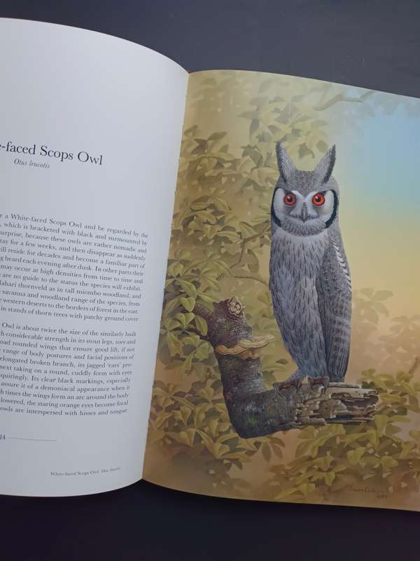 THE OWLS OF SOUTHERN AFRICA / ALAN KEMP & SIMON CALBURN