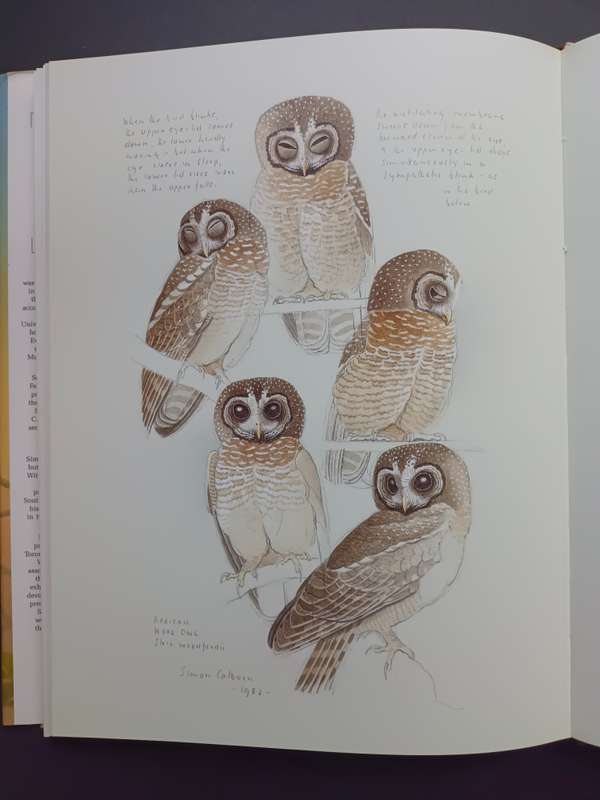 THE OWLS OF SOUTHERN AFRICA / ALAN KEMP & SIMON CALBURN