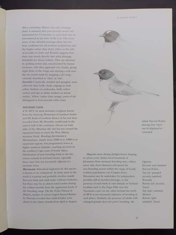 Robins of Africa / Terry Oatley & Graeme Arnot