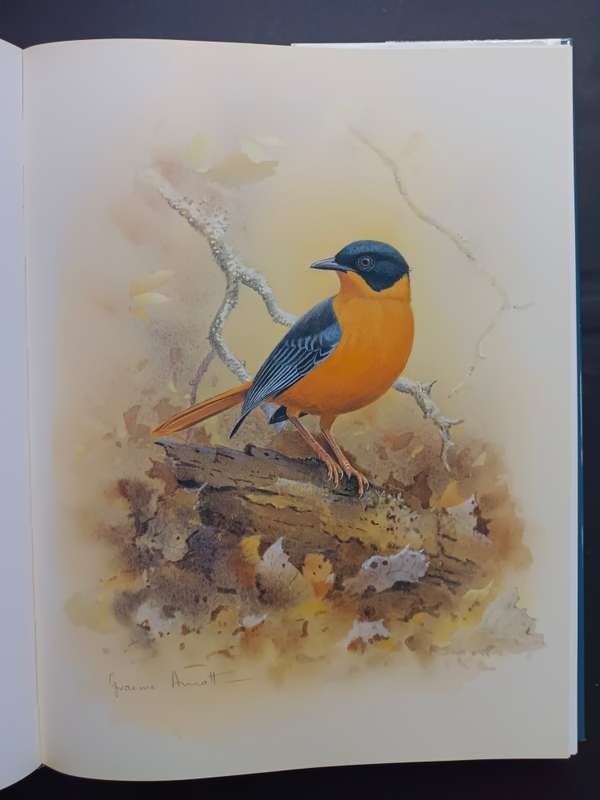 Robins of Africa / Terry Oatley & Graeme Arnot