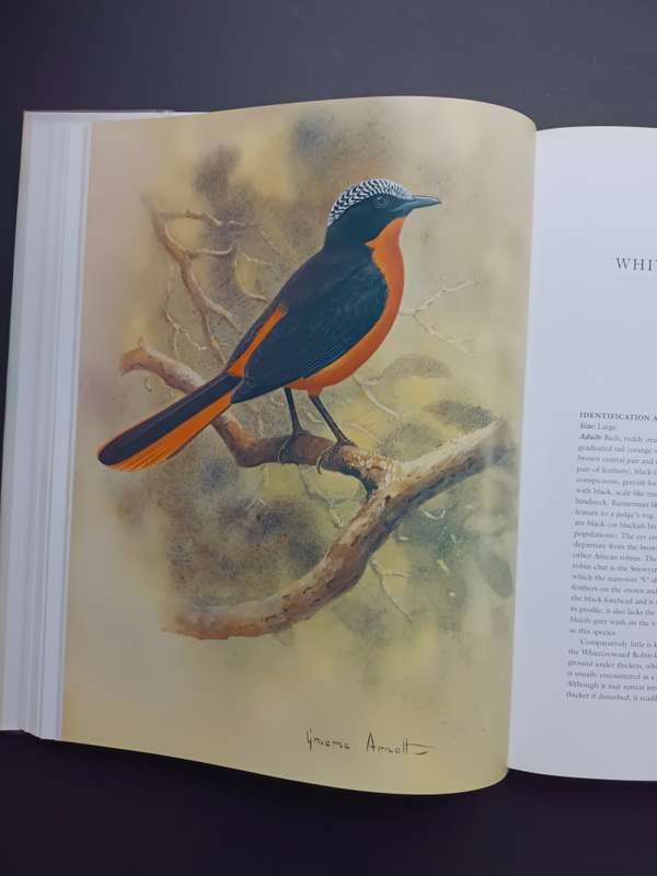 Robins of Africa / Terry Oatley & Graeme Arnot