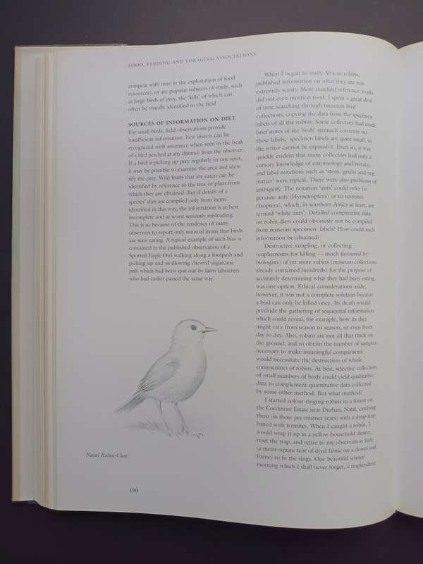 Robins of Africa / Terry Oatley & Graeme Arnot