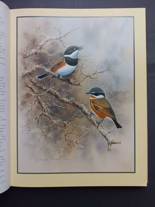 Shrikes of Southern Africa /Tony Harris & Graeme Arnott