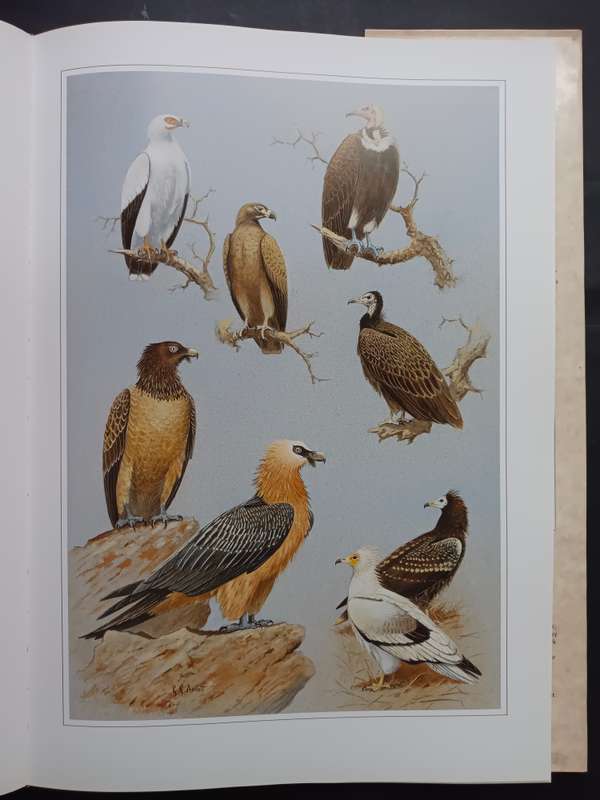 Hunters of the African Sky / Peter Steyn & Graeme Arnott