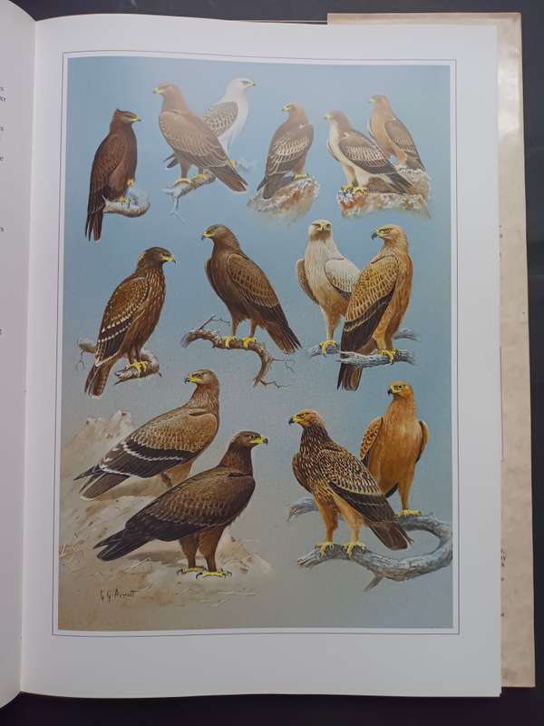 Hunters of the African Sky / Peter Steyn & Graeme Arnott