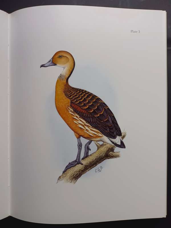 Gamebirds & Waterfowl of Southern Africa / C G Finch-Davies