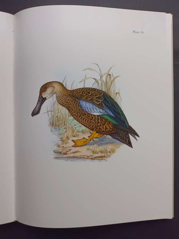 Gamebirds & Waterfowl of Southern Africa / C G Finch-Davies
