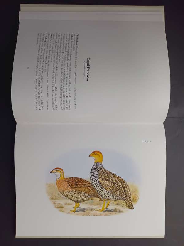 Gamebirds & Waterfowl of Southern Africa / C G Finch-Davies