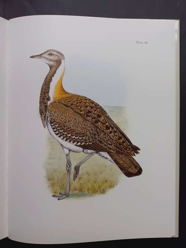 Gamebirds & Waterfowl of Southern Africa / C G Finch-Davies