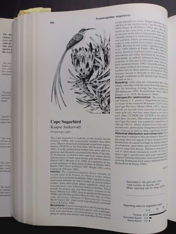 THE ATLAS OF SOUTHERN AFRICAN BIRDS DOUBLE VOLUME