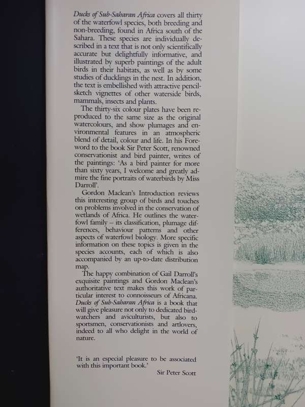 Ducks Of Sub-Saharan Africa / Gordon Lindsay Maclean & Gail Darroll
