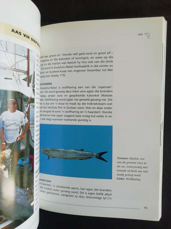 SOUTWATERHENGEL IN SUID-AFRIKA / Hennie Crous